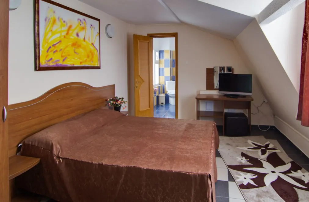 Hotel Tranzzit Bucarest 3*,